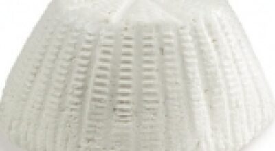 Ricotta pecorina fresca ed essiccata