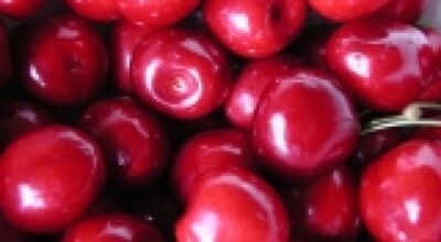 Ciliegie