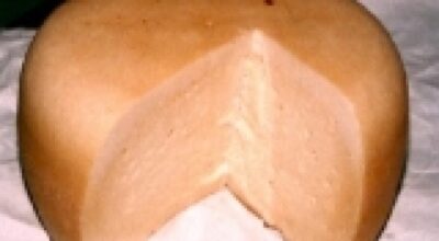 Pecorino
