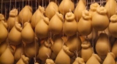 Scamorza