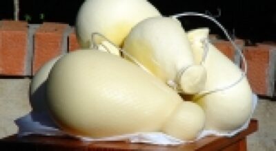 Caciocavallo Podolico